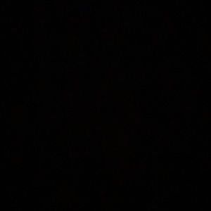 Meet your Posher, Presley